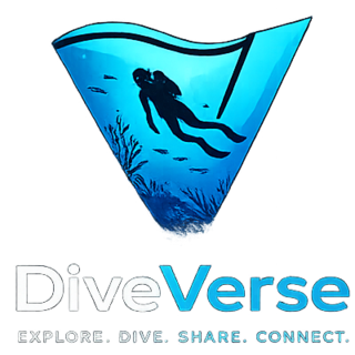 DiveVerse
